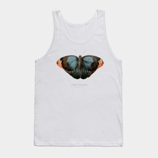 Butterfly - Purple Owl, Papilio Demosthenes, Caligo Beltrao Illiger Tank Top